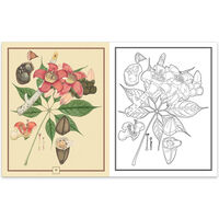 The Kew Gardens Fabulous Flowers Colouring Book