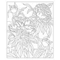 Beautiful Flowers Colour by Numbers