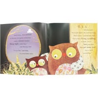 Oola The Owl Who Lost Her Hoot