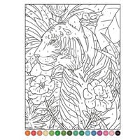 Collage By Numbers: Animals