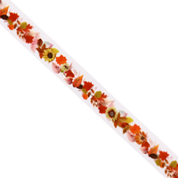 Clear Autumnal  Wildflower PET Tape