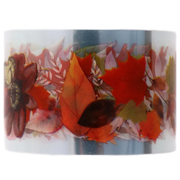 Clear Autumnal  Wildflower PET Tape