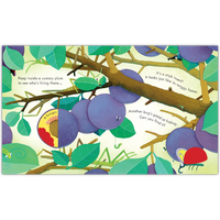 Peep Inside Bug Homes