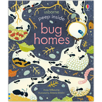 Peep Inside Bug Homes