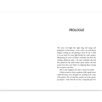 Disney Robin Hood: Princess of Thieves