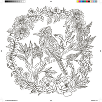 Botanical Mandala Art